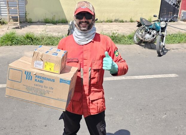 Abelhas são capturadas por Bombeiro Civil nas proximidades de academia em Piripiri; confira VÍDEO da captura