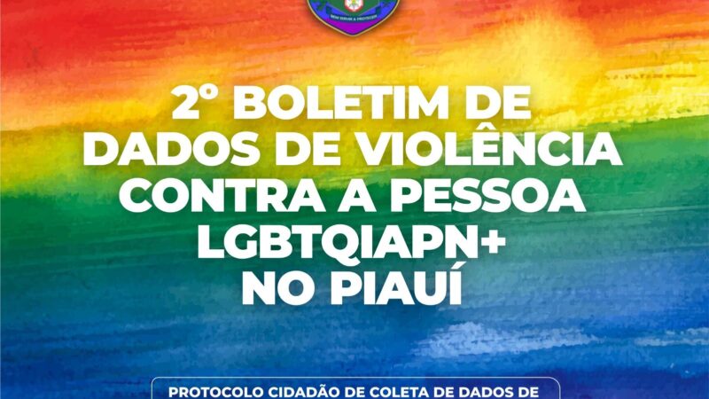 Secretaria da Segurança divulga dados de crimes cometidos contra a população LGBTQIAPN+ no Piauí