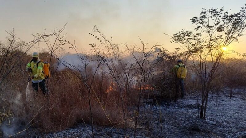 Piauí registra queda de 24% no número de focos de incêndio