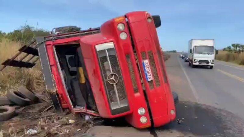 Caminhão carregado de gado tomba em curva na BR-343 em Altos