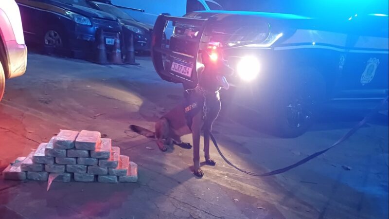 PRF apreende grande quantidade de cocaína e prende homem suspeito de Tráfico de Entorpecente na BR-343