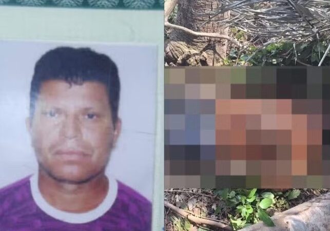 Homem morre atingido por árvore após corte com motosserra na zona rural de Barras