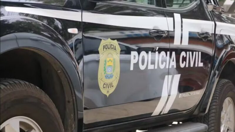 Suspeito de se passar por negociador de grãos para aplicar golpes em Uruçuí e Piripiri é preso no CE; prejuízo de R$ 100 mil