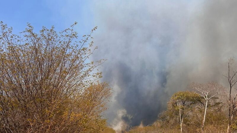 Inteligência Artificial antecipa cenários e faz previsão de onde ocorrerá incêndios no Piauí