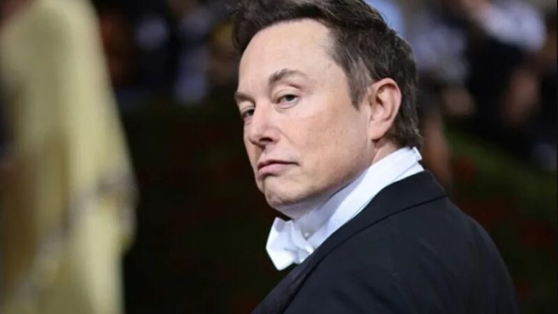 Idosa perde R$ 4 mil em golpe após acreditar que namorava Elon Musk