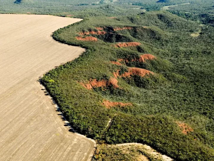 Piauí é o estado do Matopiba que menos emitiu CO2