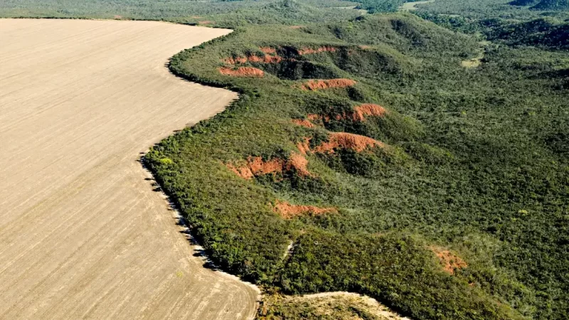 Piauí é o estado do Matopiba que menos emitiu CO2