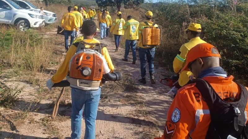 Bombeiros Militares, Bopaer e brigadistas intensificam combate a incêndios florestais no Piauí