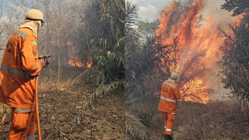 Vídeo: incêndio atinge área de mata em Cocal dos Alves, próximo à divisa com Ceará