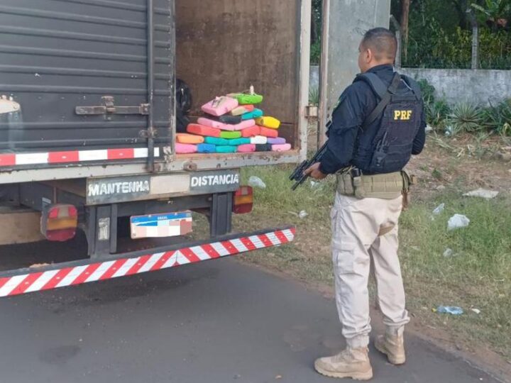 PRF no Piauí apreende mais de 25 kg de maconha escondida em caminhão durante abordagem na BR-343, em Teresina