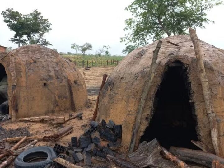 Carvoaria ilegal construída em área de preservação é desmontada durante operação da Semarh, no Sul do Piauí