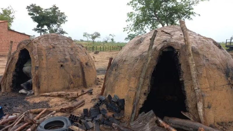 Carvoaria ilegal construída em área de preservação é desmontada durante operação da Semarh, no Sul do Piauí