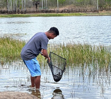 Estação de Piscicultura Adhemar Braga realiza três peixamentos em Piripiri, beneficiando mais de 350 famílias