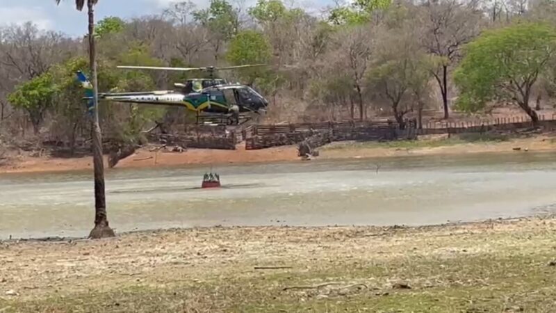 Helicóptero da PM é usado para intensificar combate a incêndios florestais no norte do Piauí