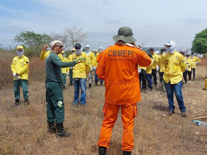 Semarh e Corpo de Bombeiros encerram capacitação de 53 brigadistas no Território dos Cocais