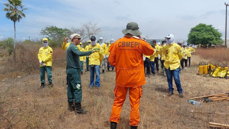 Semarh e Corpo de Bombeiros encerram capacitação de 53 brigadistas no Território dos Cocais