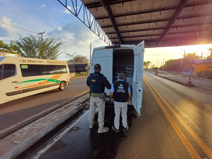 PRF apreende 2,1 toneladas de pescado irregular em Piripiri