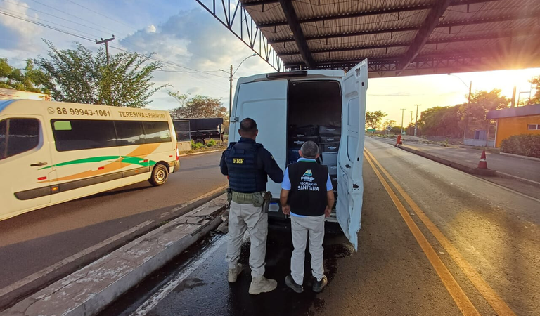 PRF apreende 2,1 toneladas de pescado irregular em Piripiri