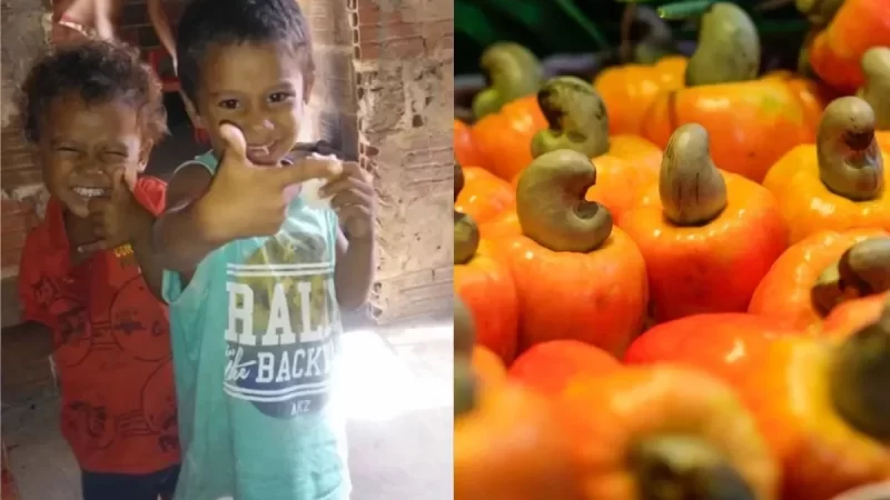 Morre segundo menino que comeu cajus envenenados em Parnaíba; irmão dele faleceu em agosto