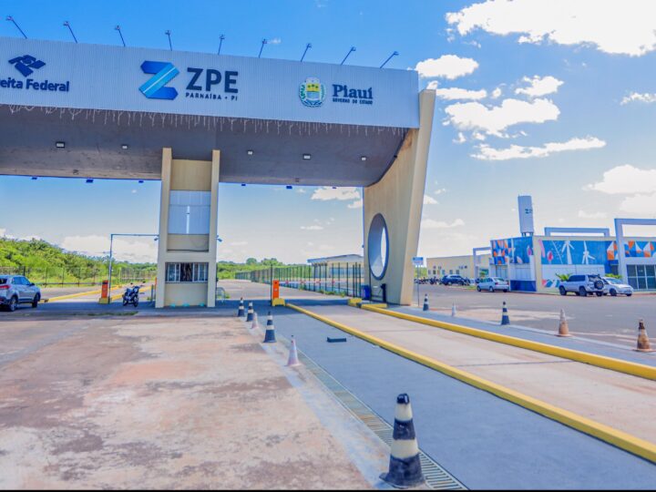 ZPE Piauí já exportou 462 toneladas de cera de carnaúba em 2024