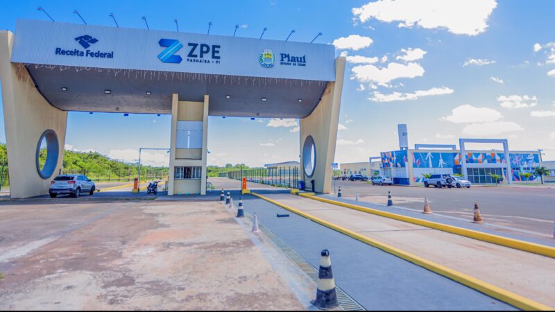 ZPE Piauí já exportou 462 toneladas de cera de carnaúba em 2024