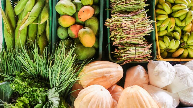 Governo do Estado entrega 30 toneladas de alimentos para famílias em vulnerabilidade nesta sexta (20)