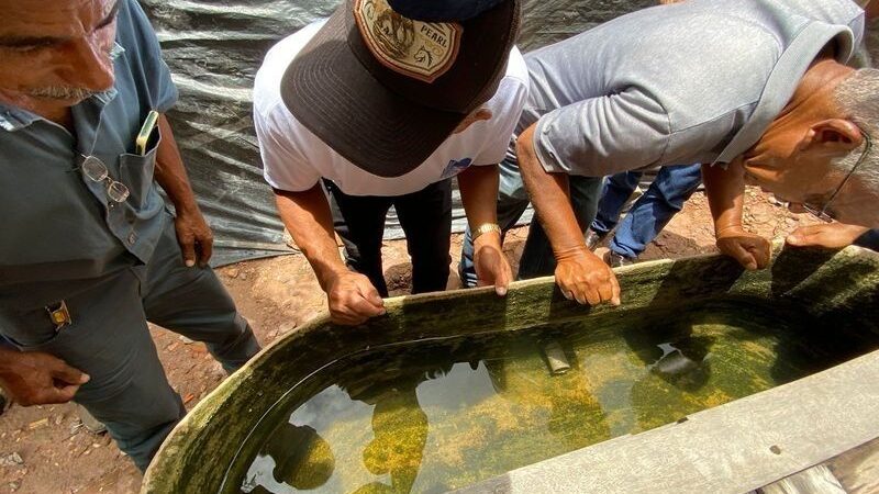 Mais de 180 municípios do Piauí apresentam situação satisfatória no controle do Aedes aegypti em 2024