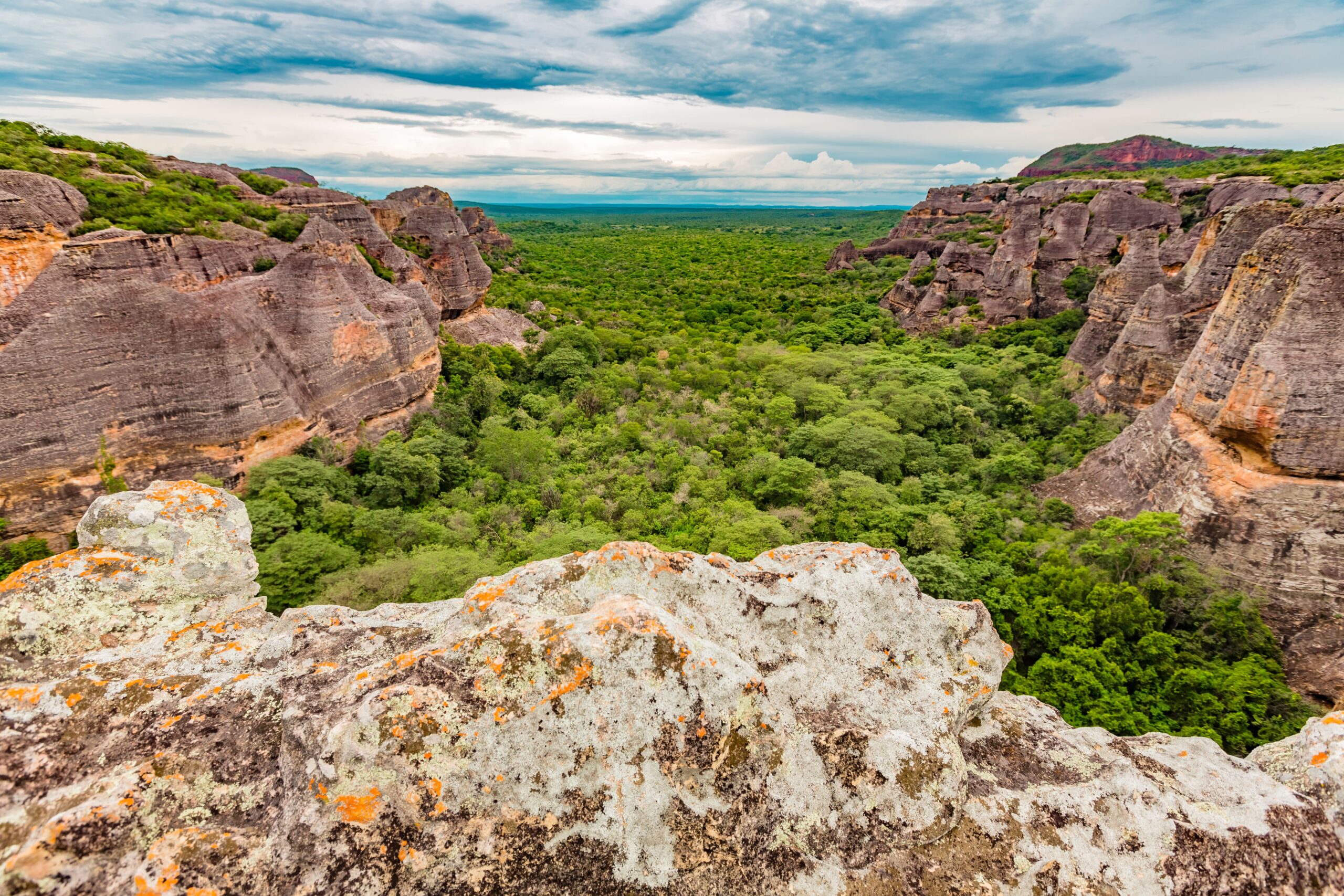 Chuvas transformam cenário do Parque Nacional da Serra da Capivara e encantam turistas