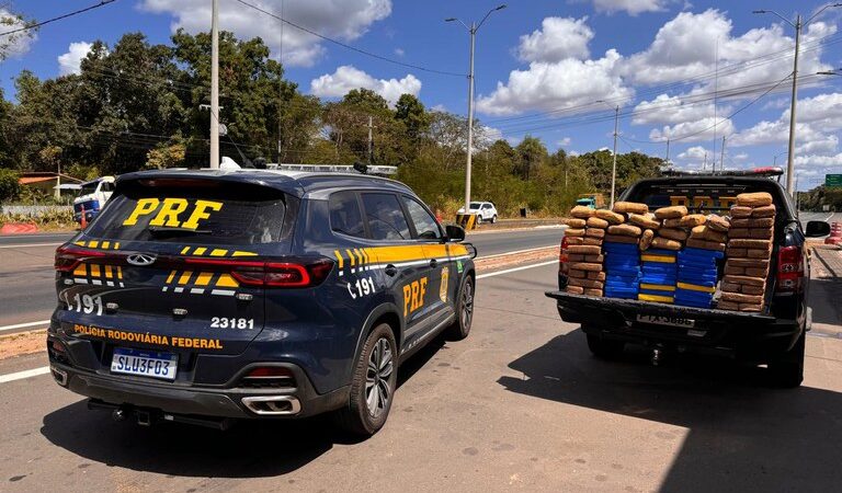 PRF apreende, em 2024, o equivalente a 1,8 toneladas em drogas nas rodovias federais piauienses