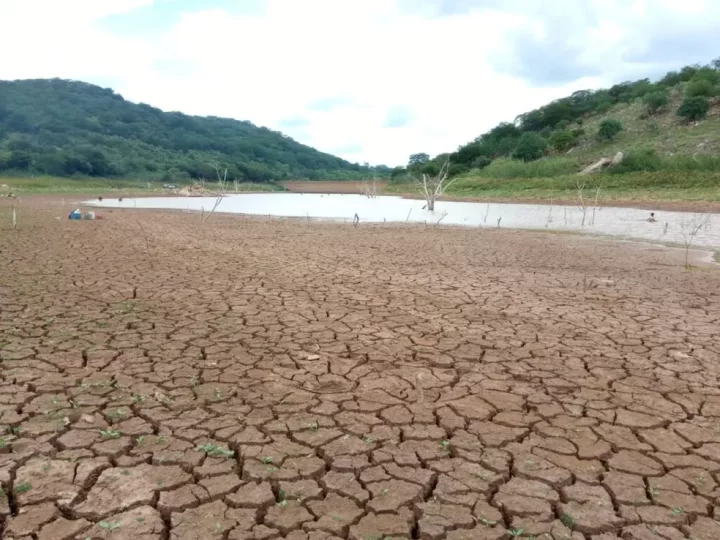 Governo do Piauí decreta situação de emergência em razão da seca em 82 municípios