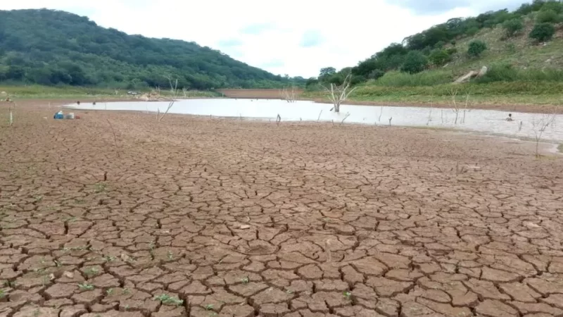 Governo do Piauí decreta situação de emergência em razão da seca em 82 municípios