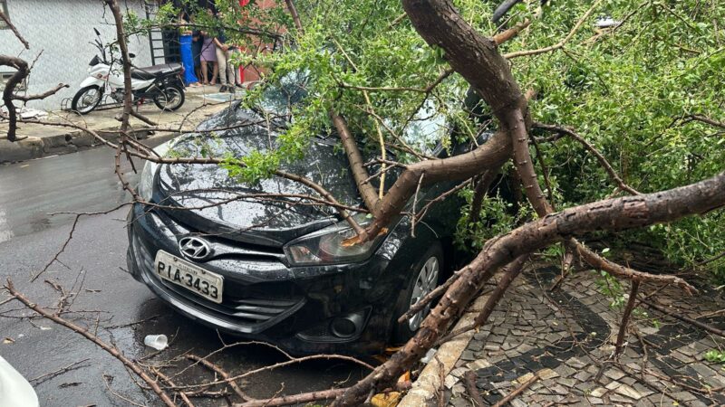 Ocorrências de ventania e resgates movimentam equipes do Corpo de  Bombeiro neste final de semana