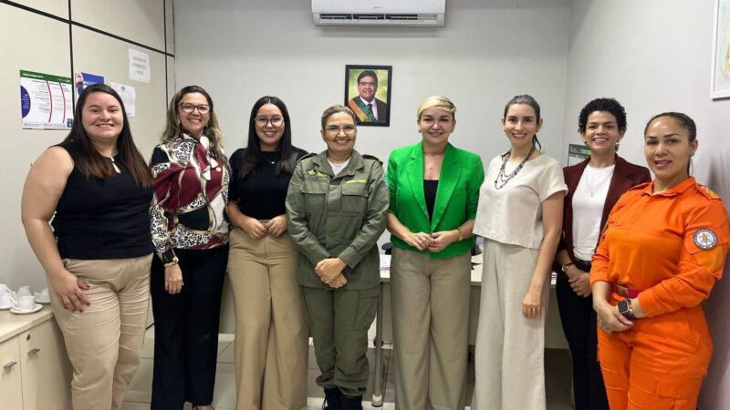 Piauí capacitará mais de mil policiais no combate à violência contra a mulher