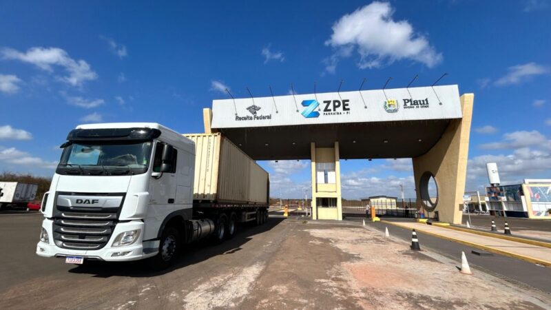 ZPE Piauí encerra janeiro de 2025 com exportação de 108 toneladas de cera de carnaúba