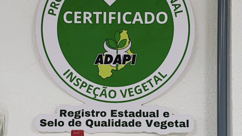 Com certificação de origem vegetal, indústria de Doce de Buriti aumenta valor agregado e demanda por produtos