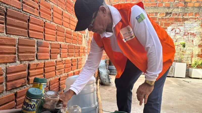 Sesapi intensifica ações de combate ao Aedes aegypti no Piauí
