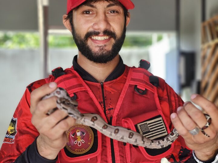 Jiboia assusta moradores após ser vista em telhado de residência em Piripiri