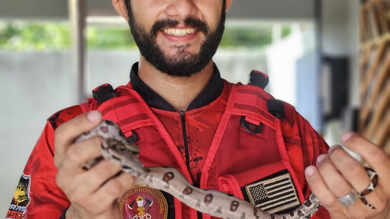 Jiboia assusta moradores após ser vista em telhado de residência em Piripiri