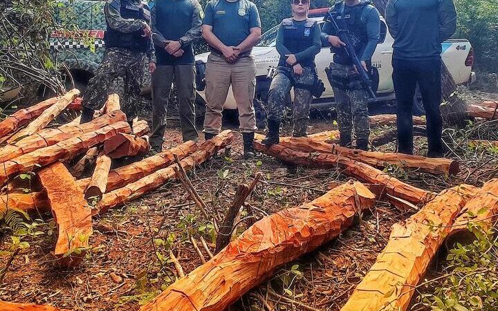 Semarh realiza Operação Carcará 01 e aplica multa de R$ 550 mil em crimes de desmatamento ilegal no Piauí