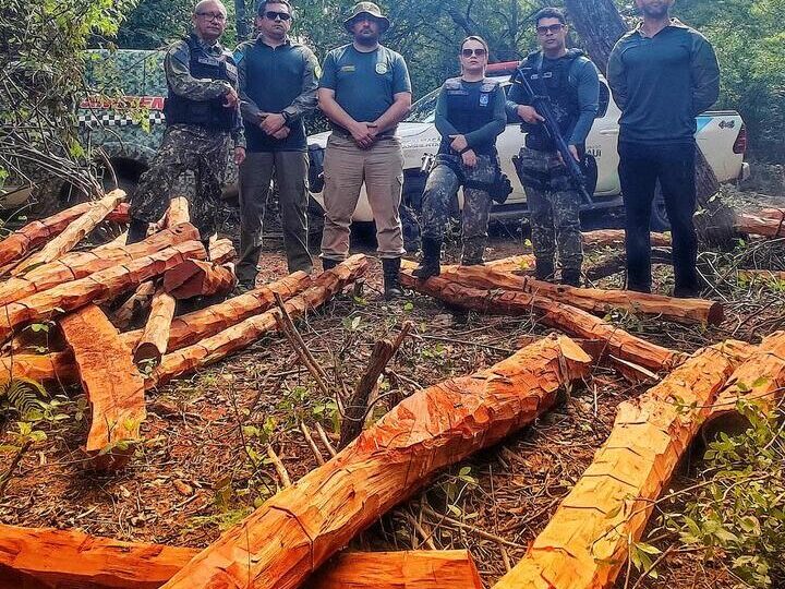 Semarh realiza Operação Carcará 01 e aplica multa de R$ 550 mil em crimes de desmatamento ilegal no Piauí