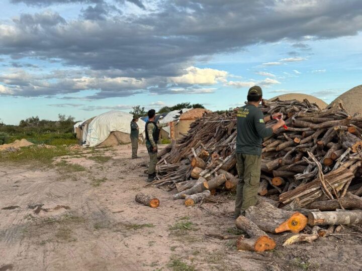 Fiscalização da Semarh identifica irregularidades em carvoarias e áreas de manejo no sul do Piauí