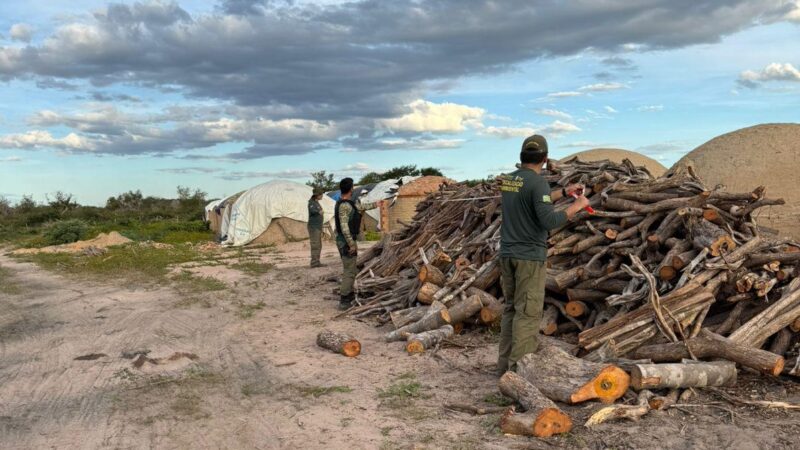 Fiscalização da Semarh identifica irregularidades em carvoarias e áreas de manejo no sul do Piauí