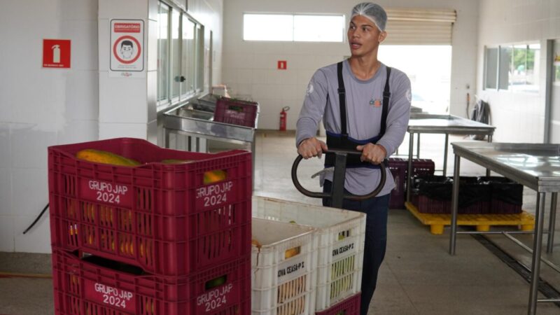 Piauí lidera geração de empregos formais no Brasil em março de 2025