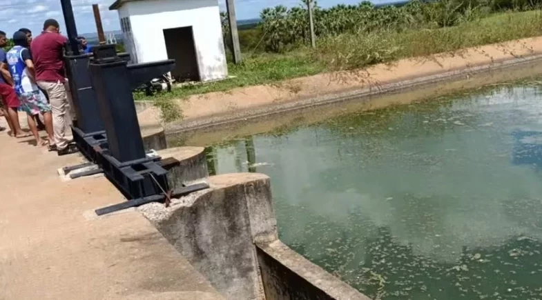 Homem morre afogado ao tentar fugir de ataque de abelhas em canal de irrigação no Ceará
