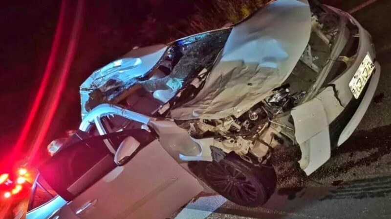 Veículo de luxo fica destruído após bater em animal na BR-343
