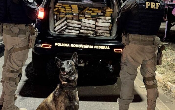 PRF apreende 210 kg de cocaína e 20 kg de skunk em operação na BR 316 em Picos