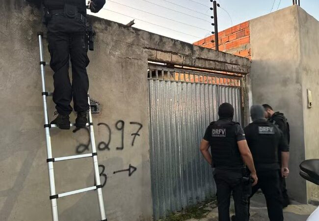 Suspeitos de roubar veículos no Piauí e revendê-los no Maranhão são presos durante operação em Piripiri e outras quatro cidades