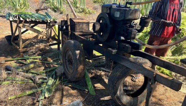 Trinta trabalhadores piauienses são resgatados em situação análoga à escravidão