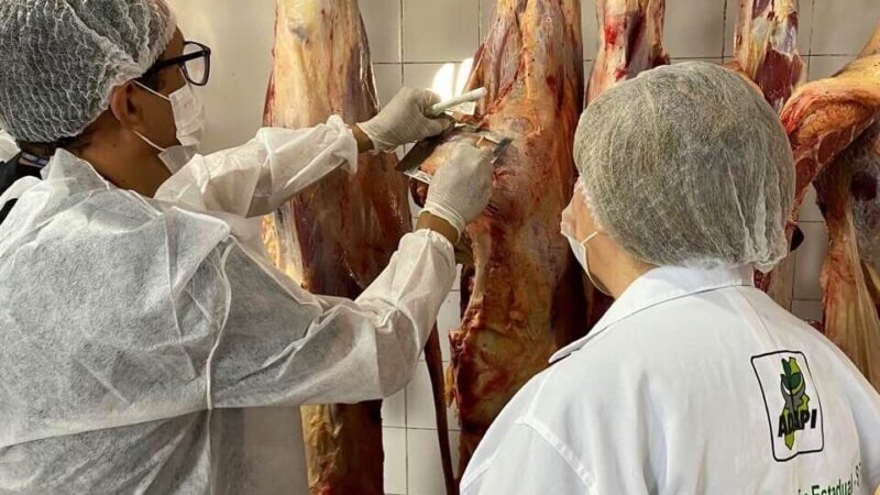 Serviço de Inspeção Estadual assegura qualidade e segurança de alimentos consumidos no Piauí