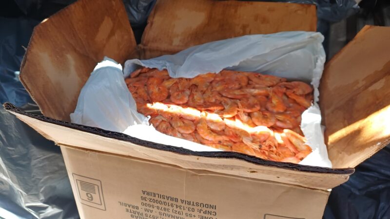 Adapi autua e realiza descarte de pescado irregular apreendido pela PRF em Piripiri